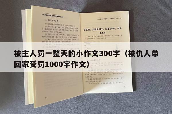 被主人罚一整天的小作文300字（被仇人带回家受罚1000字作文）