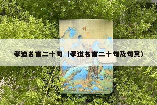 孝道名言二十句（孝道名言二十句及句意）