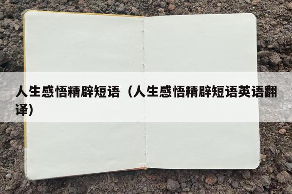 人生感悟精辟短语（人生感悟精辟短语英语翻译）