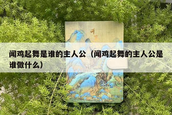 闻鸡起舞是谁的主人公（闻鸡起舞的主人公是谁做什么）
