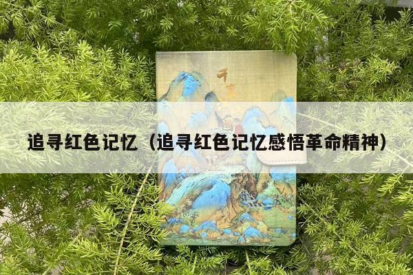 追寻红色记忆（追寻红色记忆感悟革命精神）
