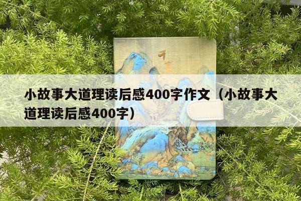 小故事大道理读后感400字作文（小故事大道理读后感400字）