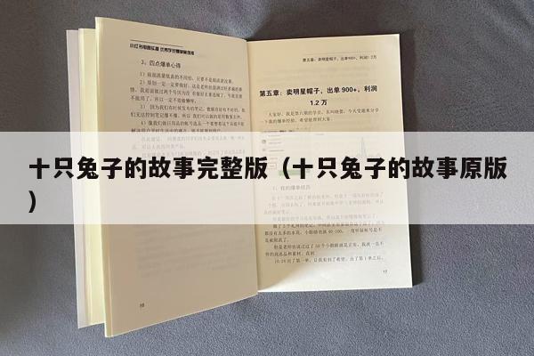 十只兔子的故事完整版（十只兔子的故事原版）