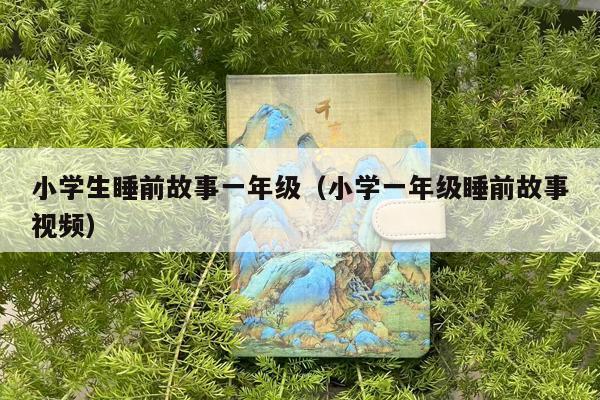 小学生睡前故事一年级（小学一年级睡前故事视频）