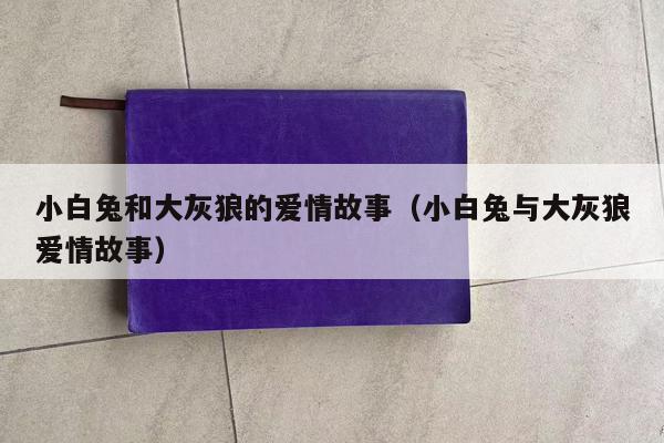 小白兔和大灰狼的爱情故事（小白兔与大灰狼爱情故事）